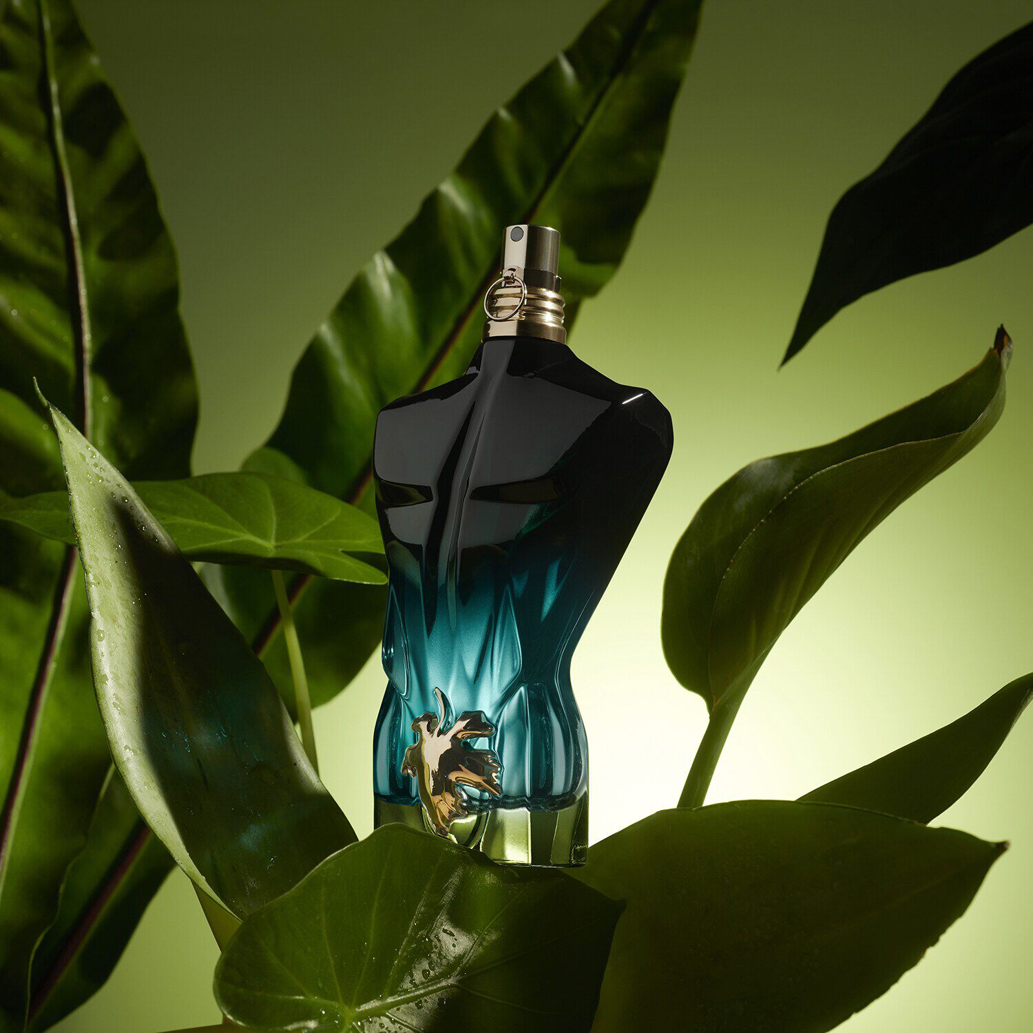 Jean paul gaultier le beau sephora on sale