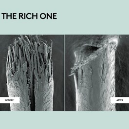 The Rich One - Après-Shampoing Réparateur Hydratant
