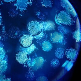 Biovergetures - Gel-crème prévention et réduction des vergetures