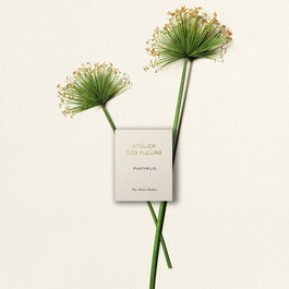 Atelier des Fleurs Papyrus - Eau de Parfum