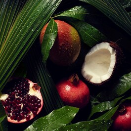 Nutriplenish™ - Shampoing Hydratant Cheveux Normaux A Epais
