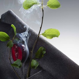BOSS The Collection Bold Incense - Eau de Parfum