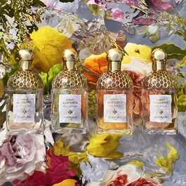 Aqua Allegoria Mandarine Basilic - Coffret Eau de Toilette