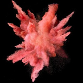 Blush - Blush Fard à Joues
