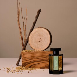 Il était un bois - Eau de parfum boisée