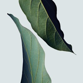 Botanical Repair - Traitement sans rinçage Format Voyage