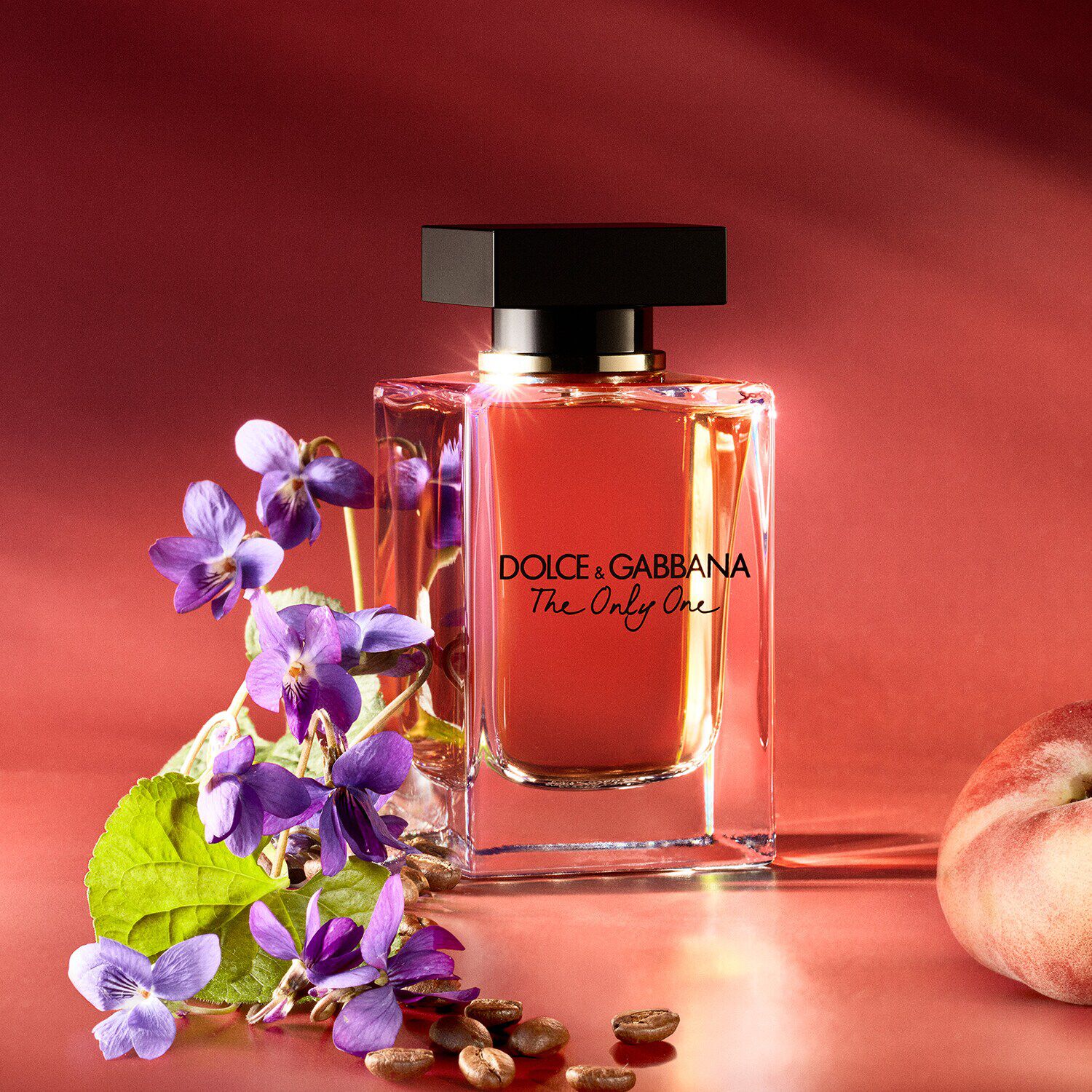 Dolce and gabbana outlet the only one sephora