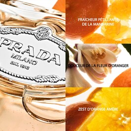 Infusion de Mandarine - Eau de parfum