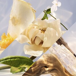 Omnia Crystalline - Eau De Parfum