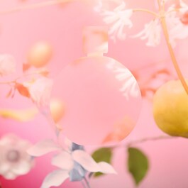 CHANCE EAU TENDRE - Eau De Toilette