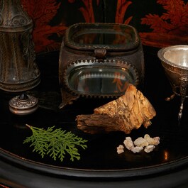 The Alchemist's Garden A Midnight Stroll - Eau de Parfum