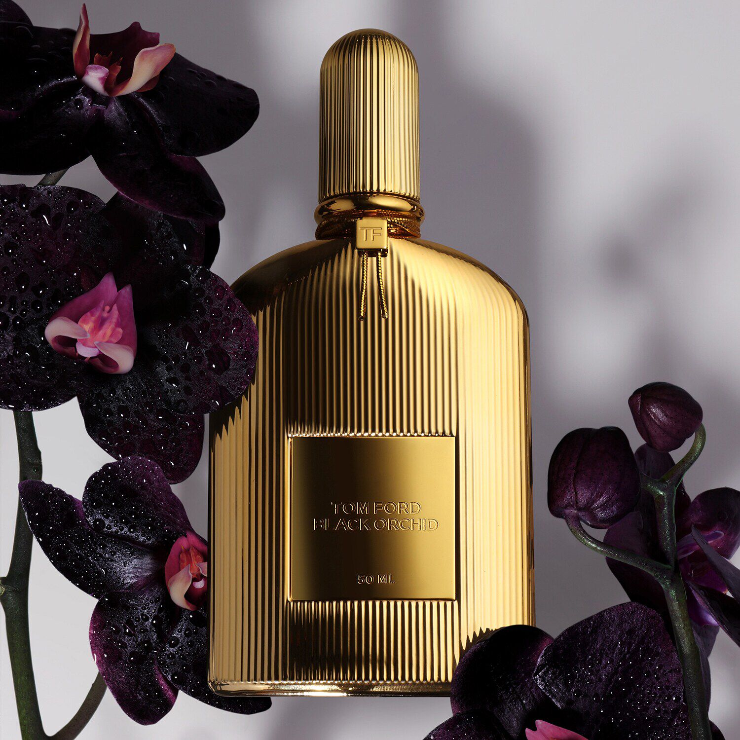 Ford black orchid sales