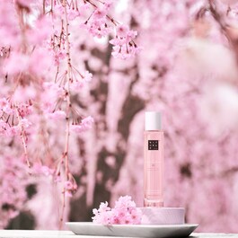 The Ritual of Sakura - Brume Corps et Cheveux