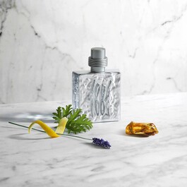 Cerruti 1881 Silver - Eau de Toilette