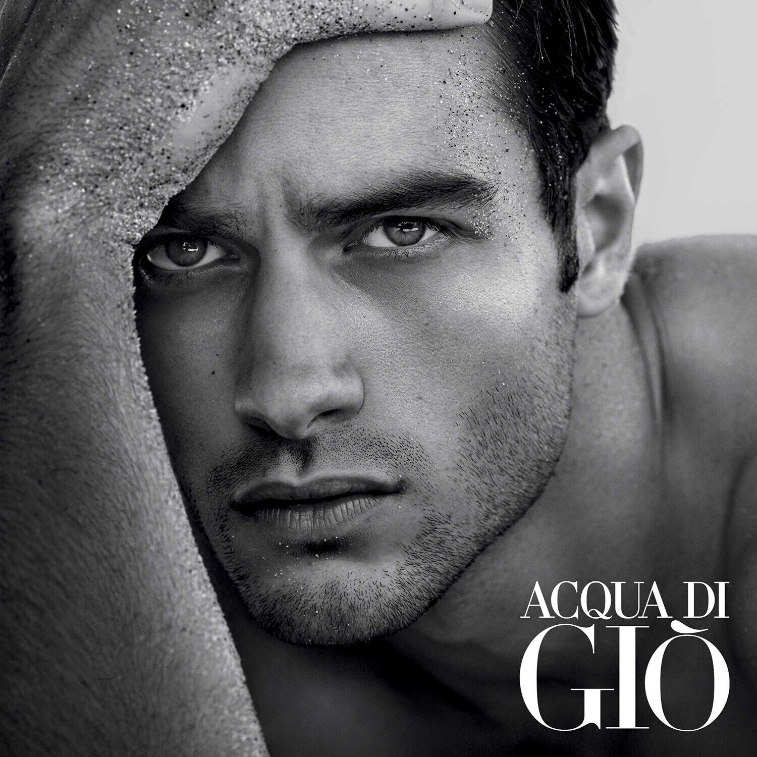 Gio best sale black perfume