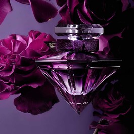 La Nuit Trésor - Le Parfum