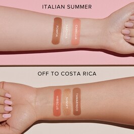 Face palette - Palette teint
