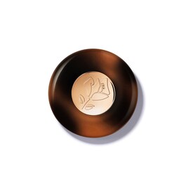Teint Idole Ultra Wear - Highlighter Infusé de Soin
