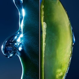 Sauvage La Lotion - Lotion tonique pour homme à l'extrait de cactus