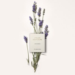 Atelier des Fleurs Lavanda - Eau de Parfum