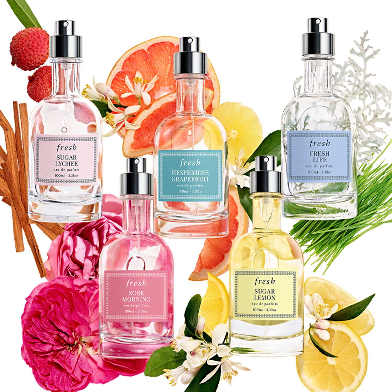 Fresh rose on sale morning sephora