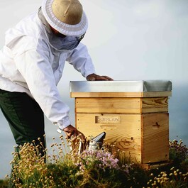 Abeille Royale - Gel Hygiène & Douceur Des Mains