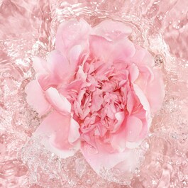 La Petite Robe Noire - L'Eau Rose Eau de Parfum