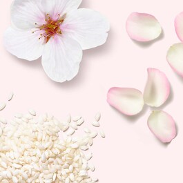 The Ritual of Sakura - Recharge parfum pour voiture