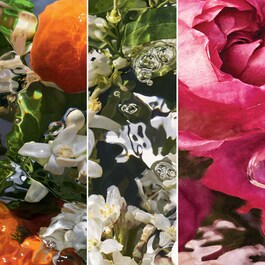 Aqua Allegoria Forte - Rosa Palissandro - Eau de Parfum