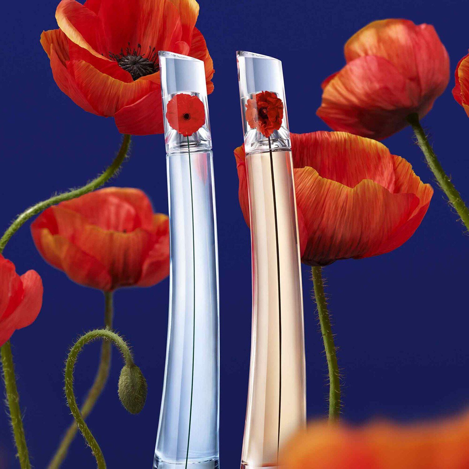 FLOWER BY KENZO Coffret Eau de Parfum Savon Pochette de