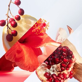 Omnia Coral - Eau De Toilette