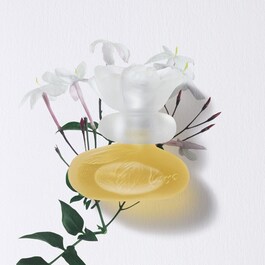 KENZO CA SENT BEAU - Eau de Toilette
