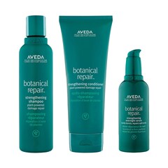 Routine trio botanical repair, AVEDA
