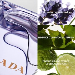 Amber Homme - Eau de Toilette