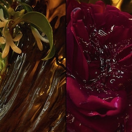 Absolus Allegoria - Rose Amira - Eau de Parfum