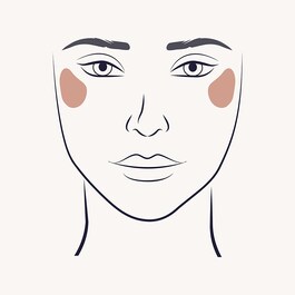 105 HIGHLIGHT - Pinceau visage