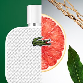Lacoste L.12.12 Blanc - Eau de Toilette Pour Homme Fraîche et Épicée