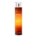 Vaporisateur 100 ml