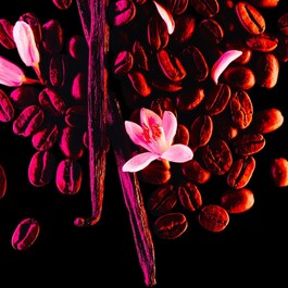 Black Opium - Eau De Parfum Format Voyage