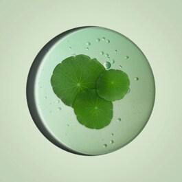 Aquasource Cica Nutri Crème - Crème hydratante au centella asiatica