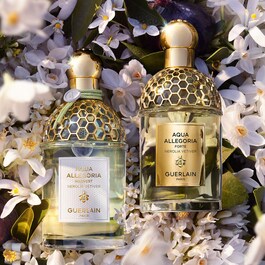 Aqua Allegoria Harvest - Nerolia Vetiver - Eau De Toilette