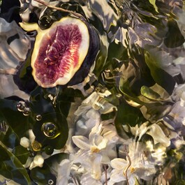 Aqua Allegoria Nerolia Vetiver Forte - Coffret Eau de Parfum