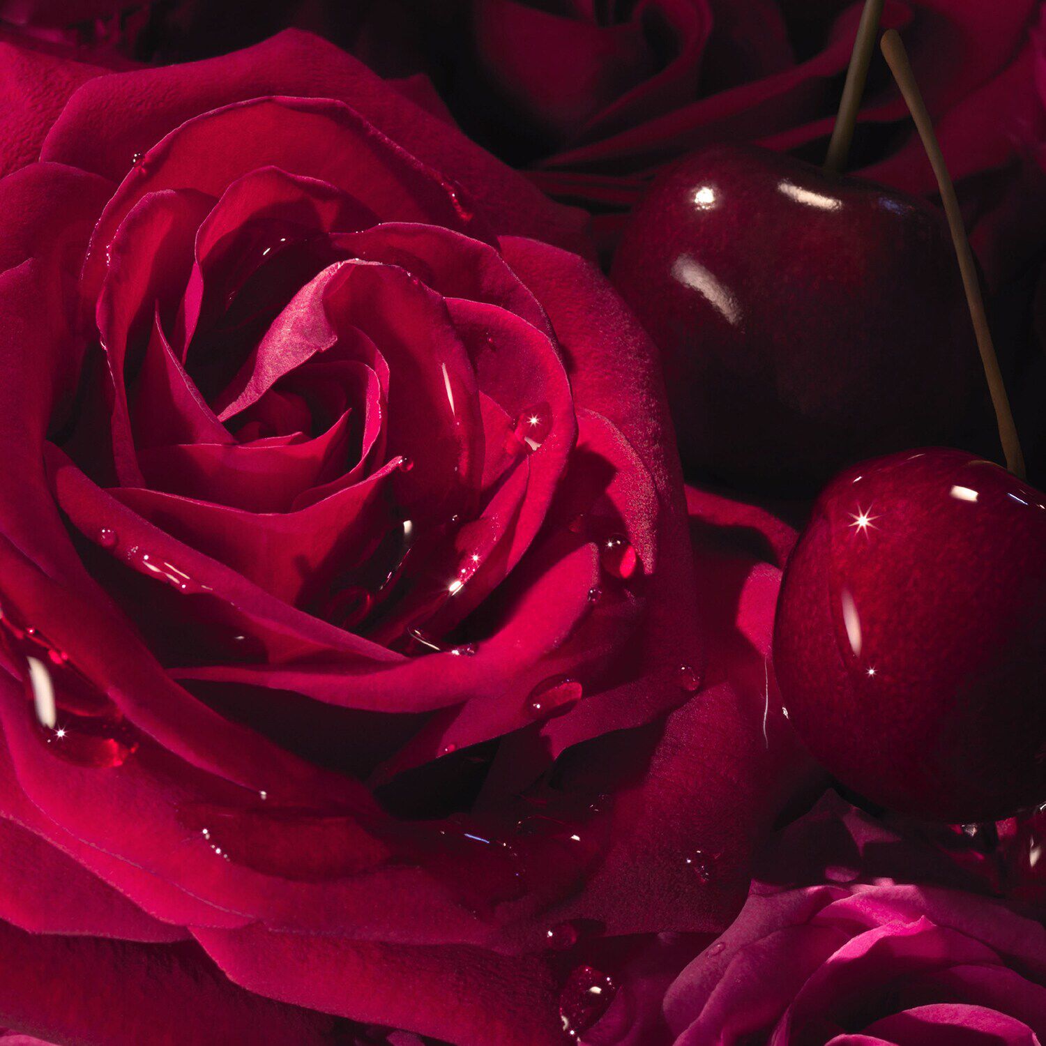 Lancome tresor shop la nuit sephora