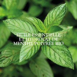 Magnifica - Crème de nuit anti-imperfections certifiée bio à la menthe poivrée