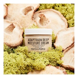 Adaptogen Deep Moisture Cream - Crème apaisante et hydratante