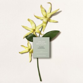 Atelier des Fleurs Ylang Cananga - Eau de Parfum