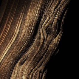 Santal Royal - Brume Cheveux