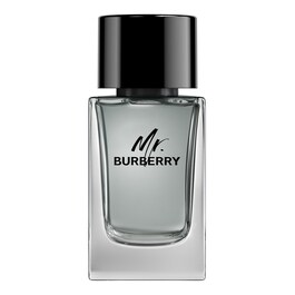 Mr. Burberry - Eau de Toilette