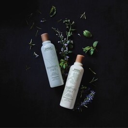 Rosemary Mint - Shampooing Purifiant
