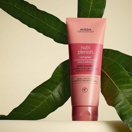 Nutriplenish Curl Gelee - Gelée pour cheveux bouclés